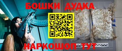 гидра Ливны