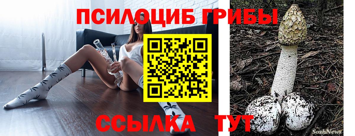 Томск  Галлюциногенные грибы мухоморы  Вход с VPN 